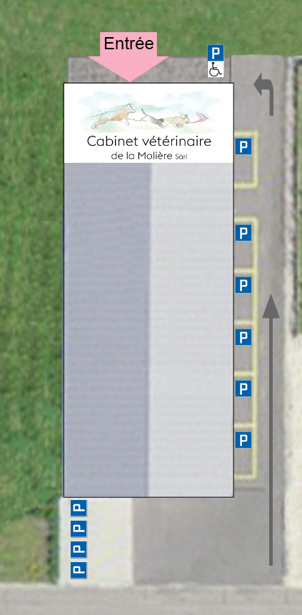 Plan parking