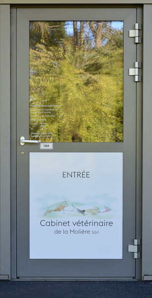 Le cabinet
